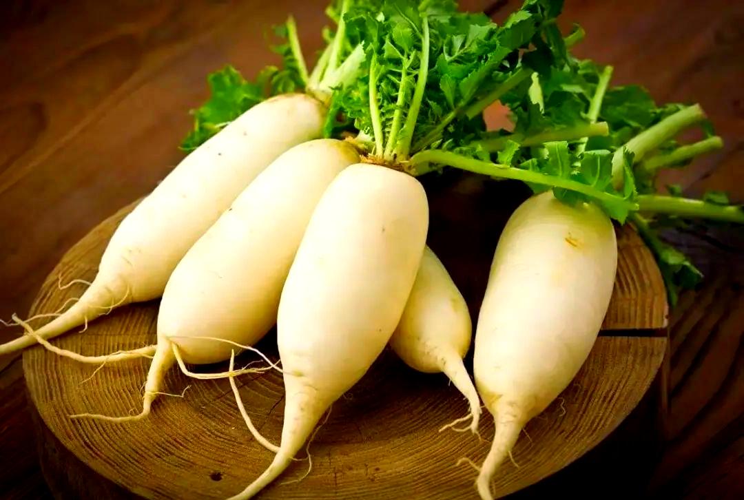 20251125291713275871.jpeg 白萝卜.jpeg