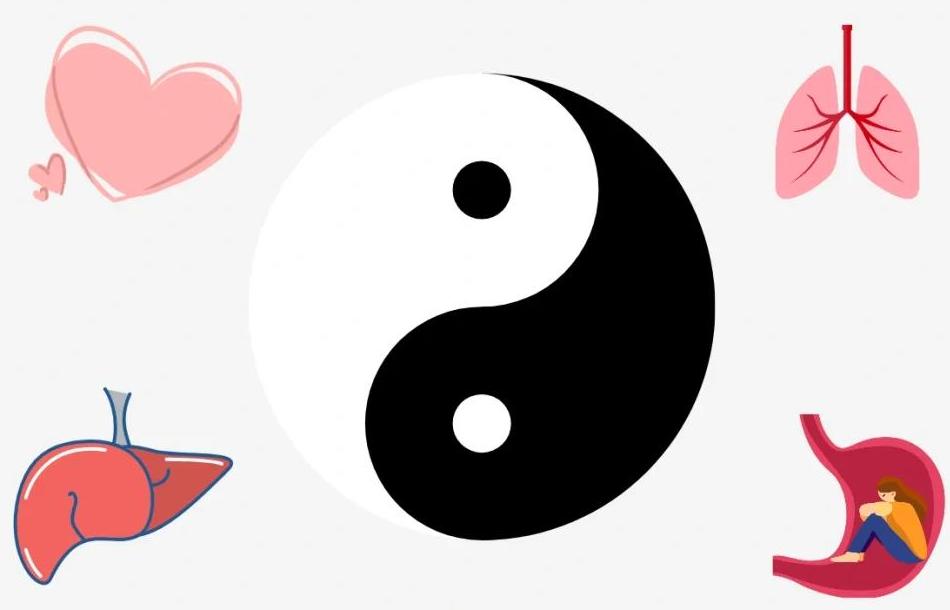 中医养生阴阳平衡.jpeg